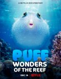 Nonton Puff Wonders of the Reef (2021)